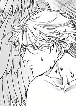 猫头鹰的相思病 截图1